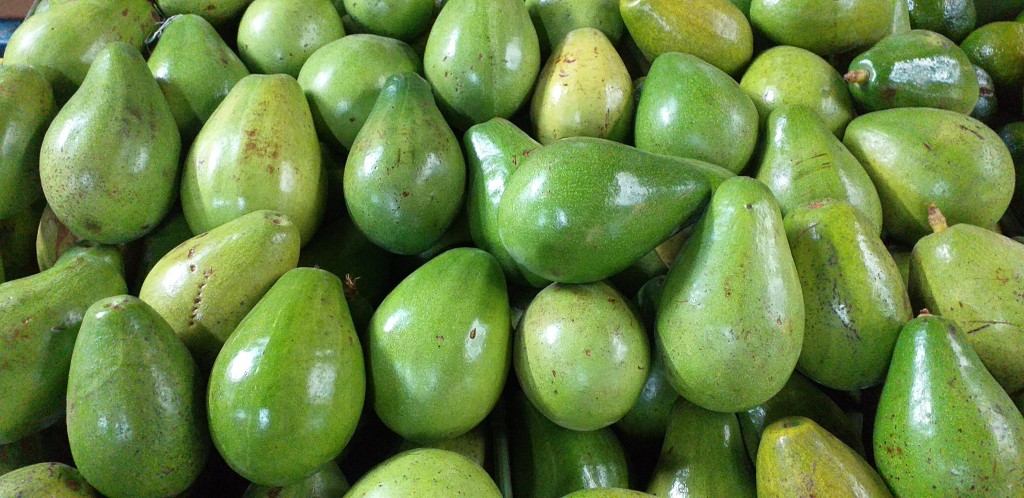 Aguacate papelillo de 2da