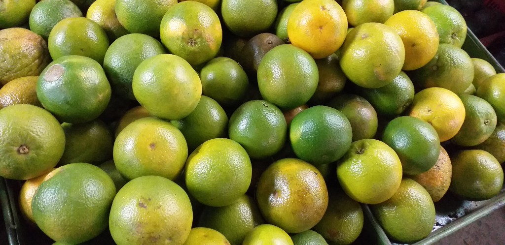 Naranja valencia