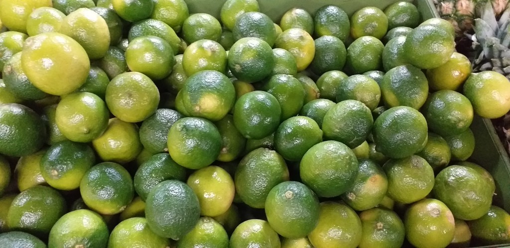 Limon tahiti