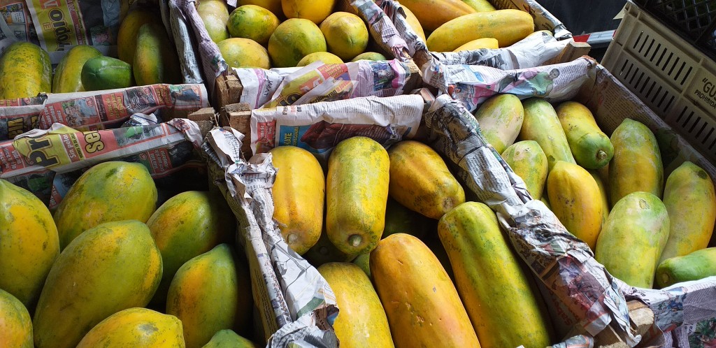 Papaya costeña