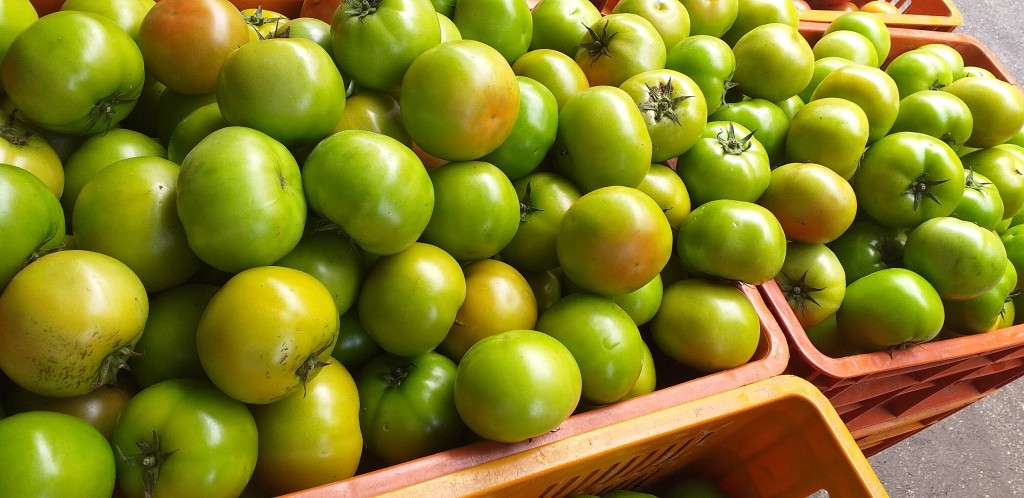 Tomate riñon