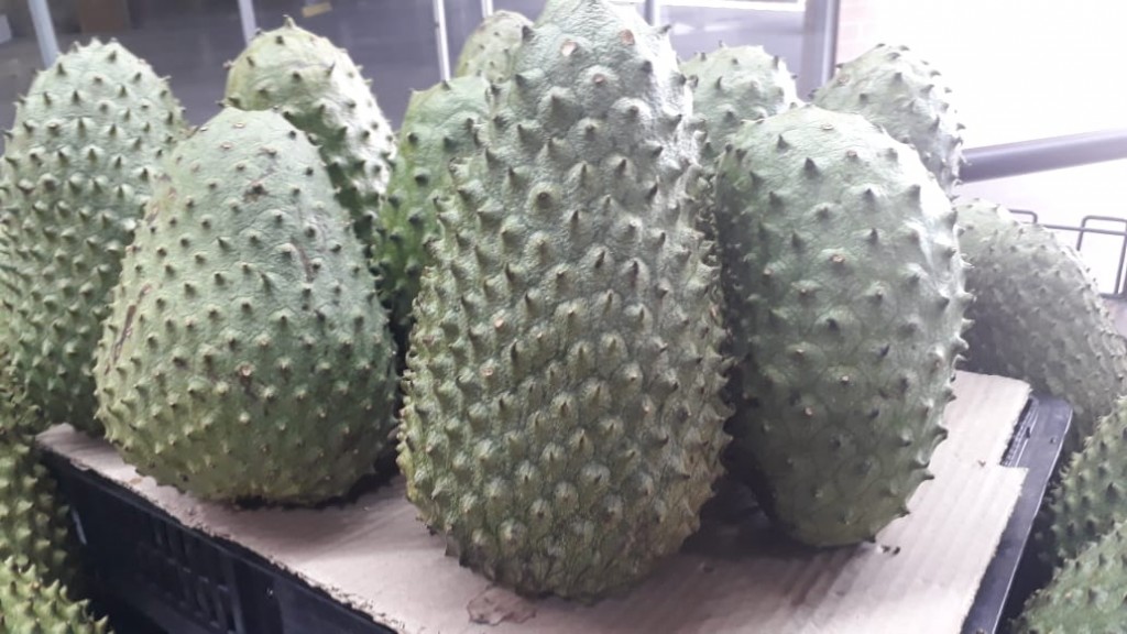 Guanabana