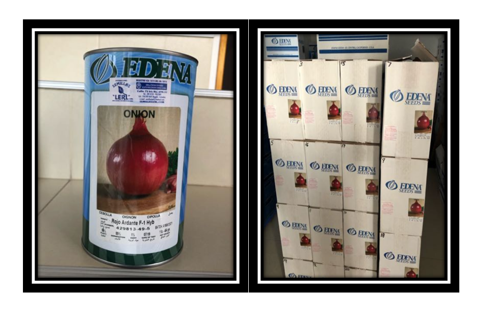 lata de cebolla roja ARDANTE