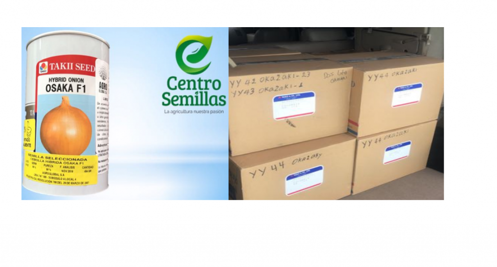venta de semilla Takii Osaka