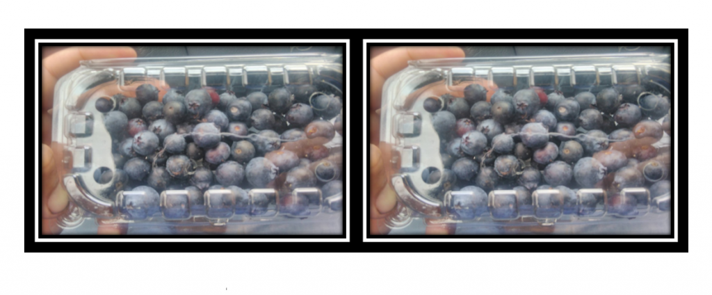 Arandanos × 125gr