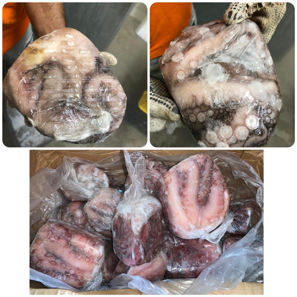 Pulpo/500gm
