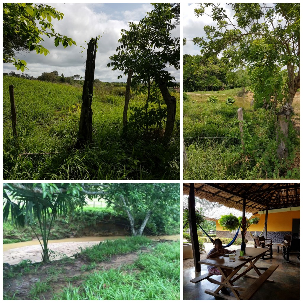 Finca ganadera