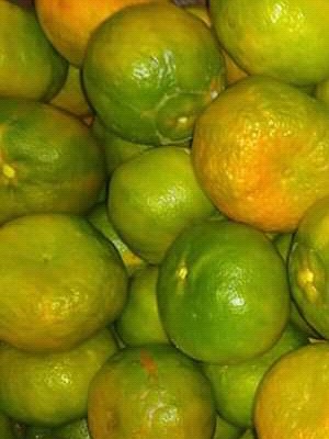 Maracuyá