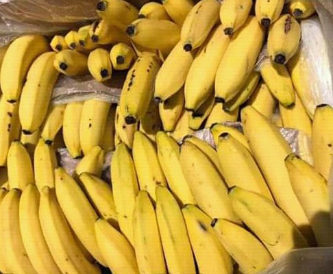 Banano