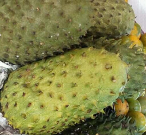 Guanabana