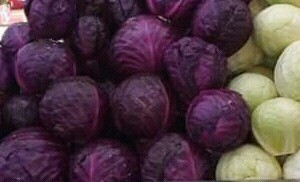 Repollo morado