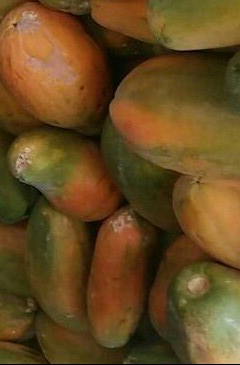 Papaya