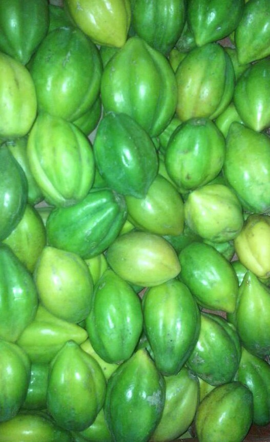 Papayuela
