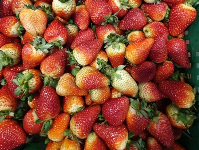 Fresas de tercera
