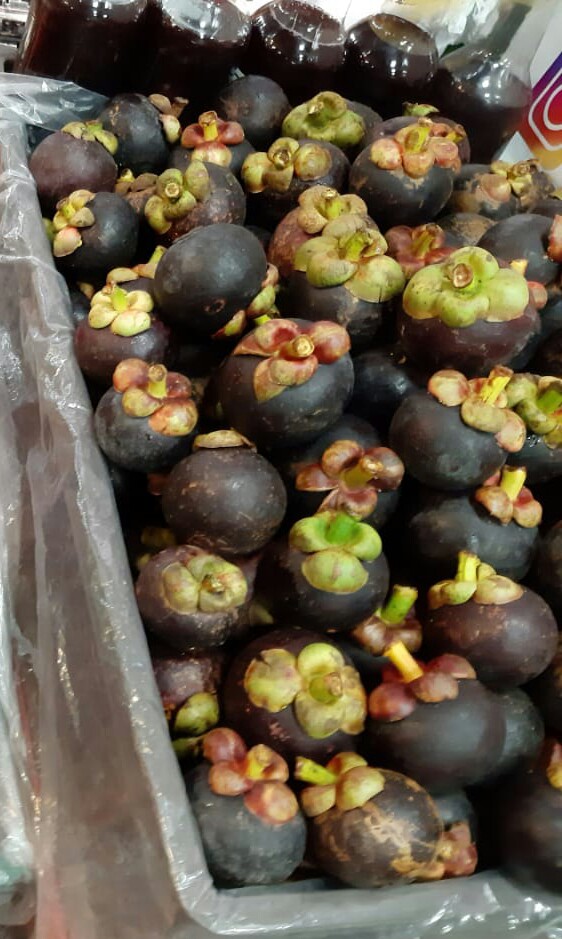 Mangostino