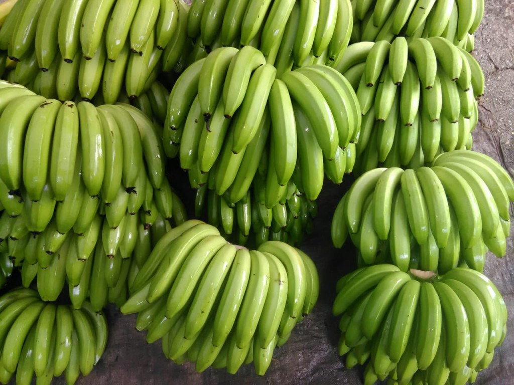 Banano