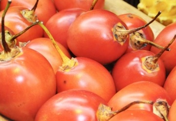 Tomate de árbol