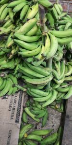 Platano verde