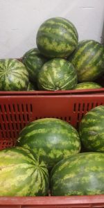 Sandia