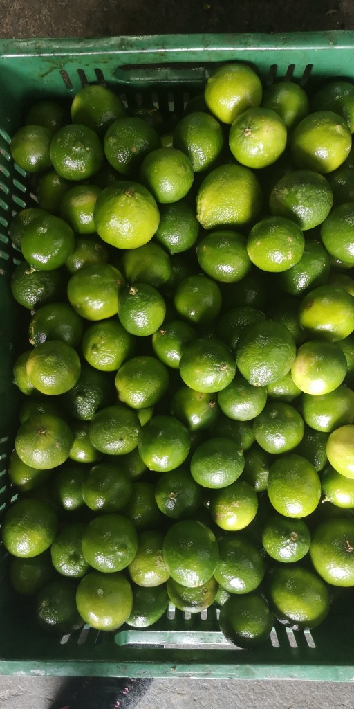 Limón Tahití