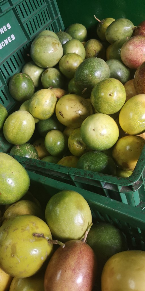 Maracuya