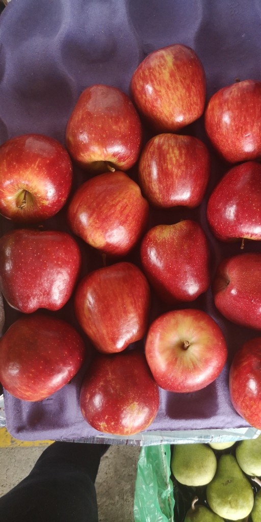 Manzana /18kg