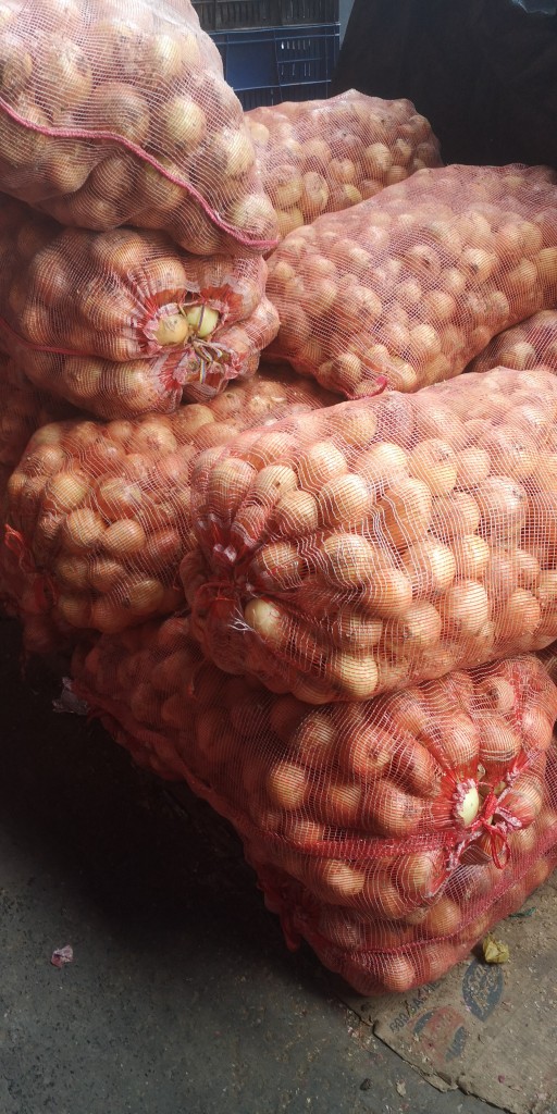 Cebolla de Huevo Blanca /48kg