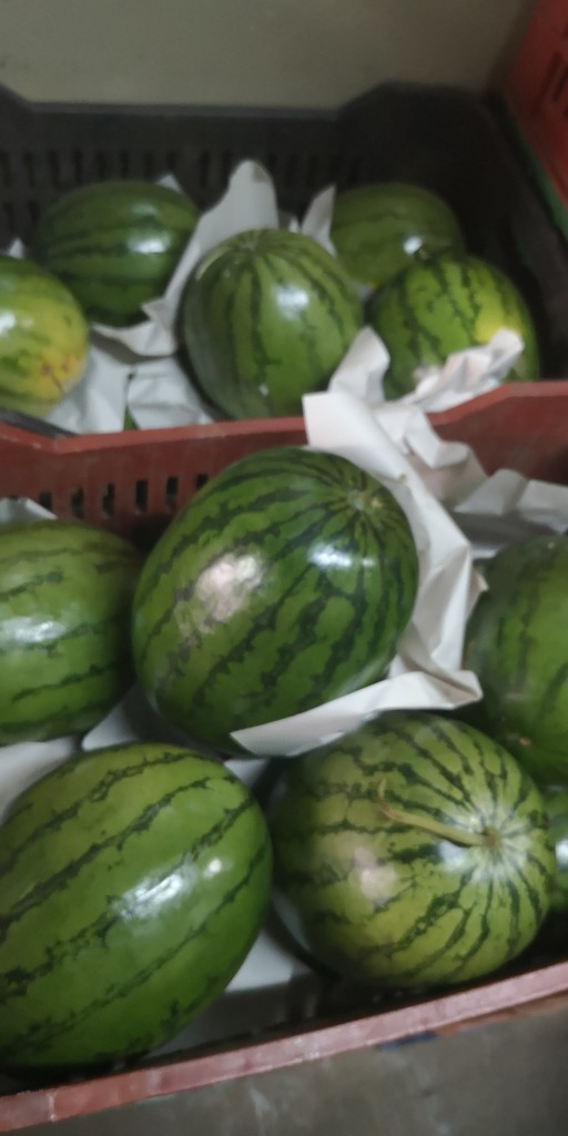 Sandia