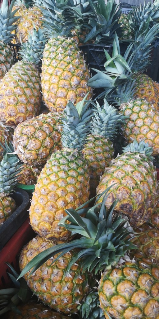 Piña Oro miel