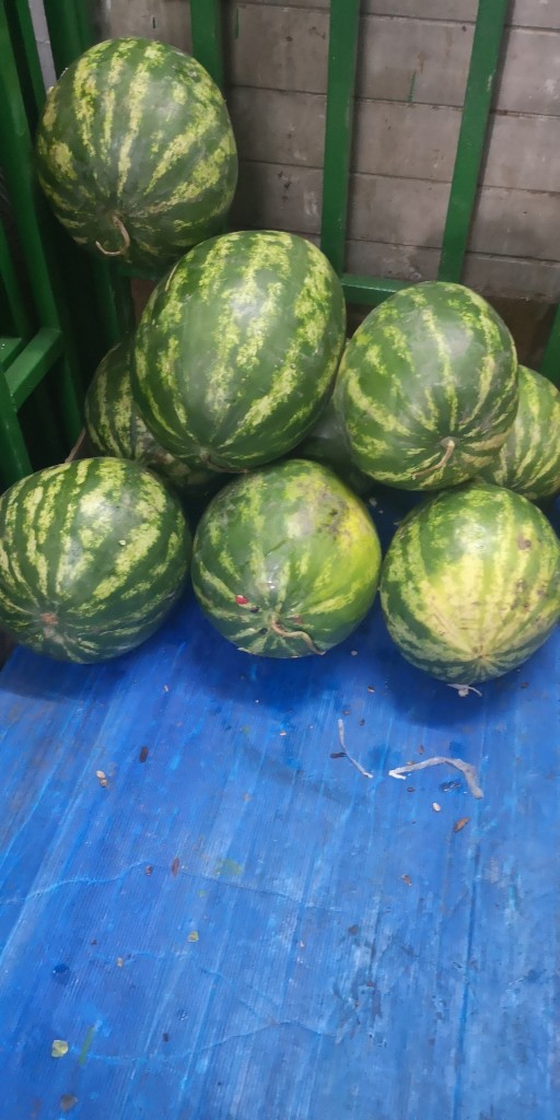 Sandia
