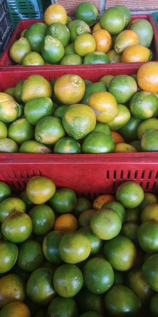Naranja Tangelo