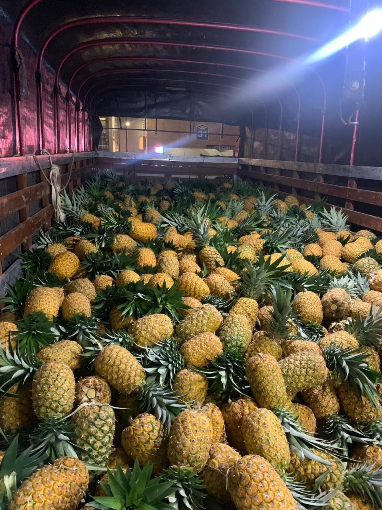 Piña Oro Miel