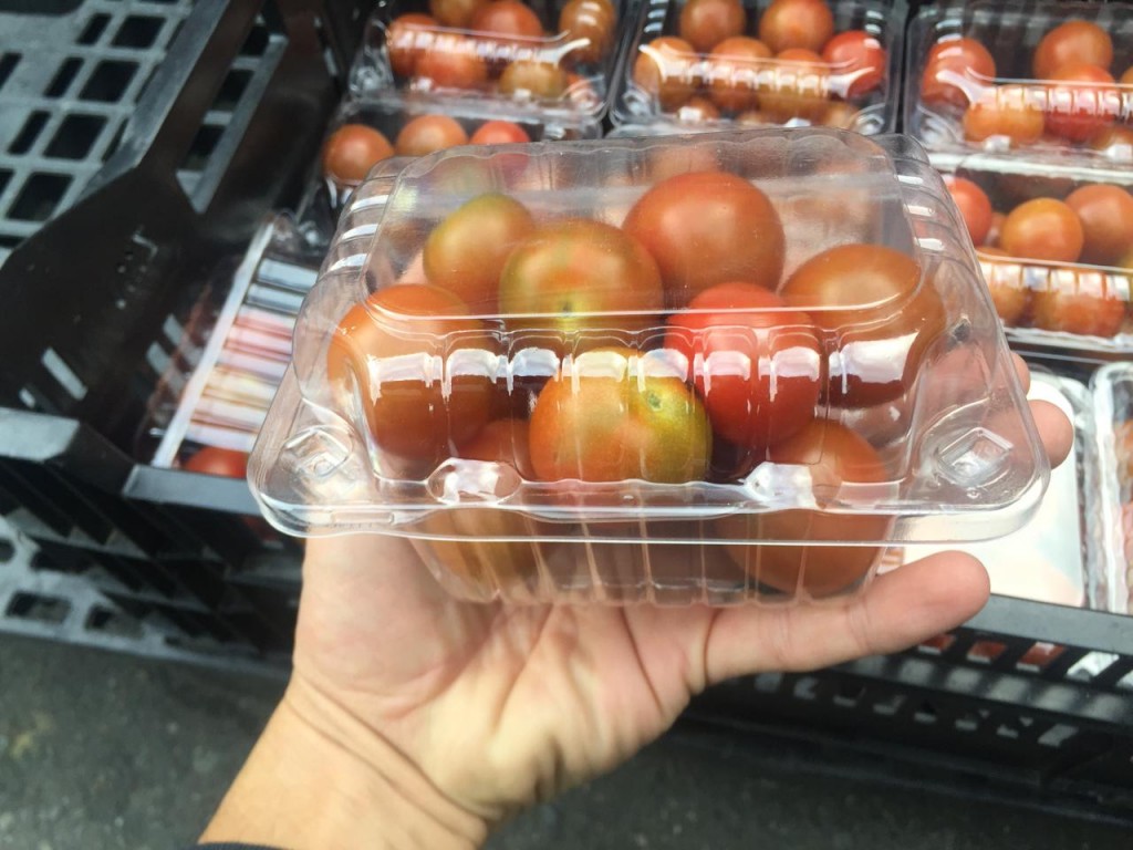 Tomate ref cherry tangerine