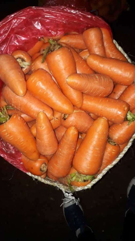 Zanahoria extra bogotana