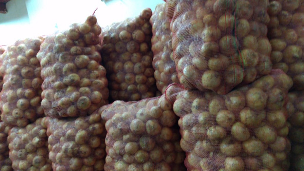 Cebolla gruesa bogotana