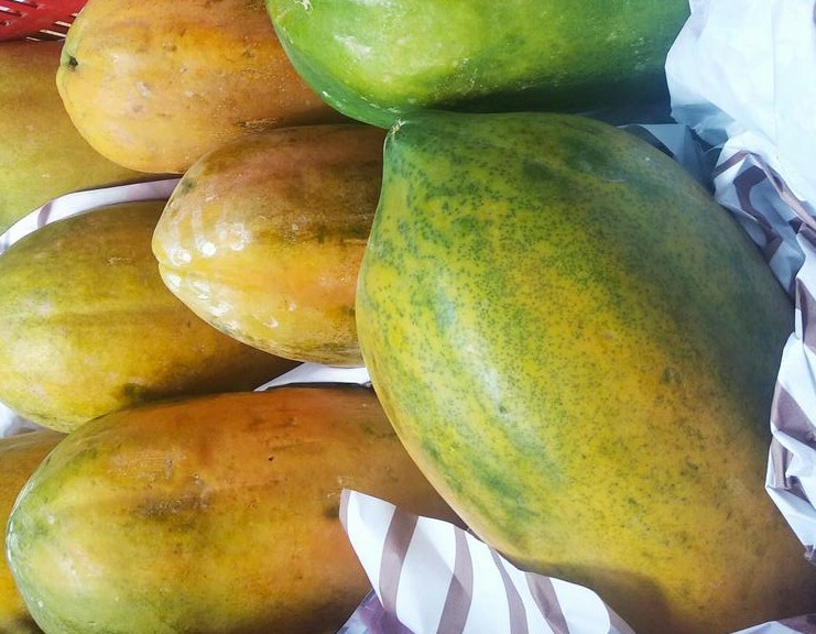 Papaya