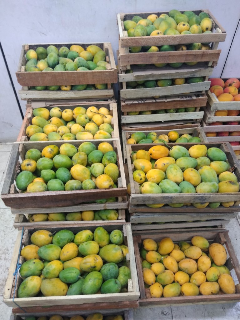 Mango común