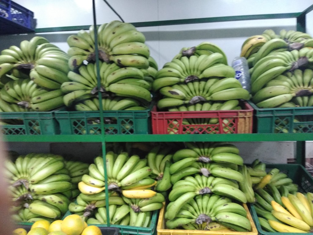 Banano Mitchell 1ra
