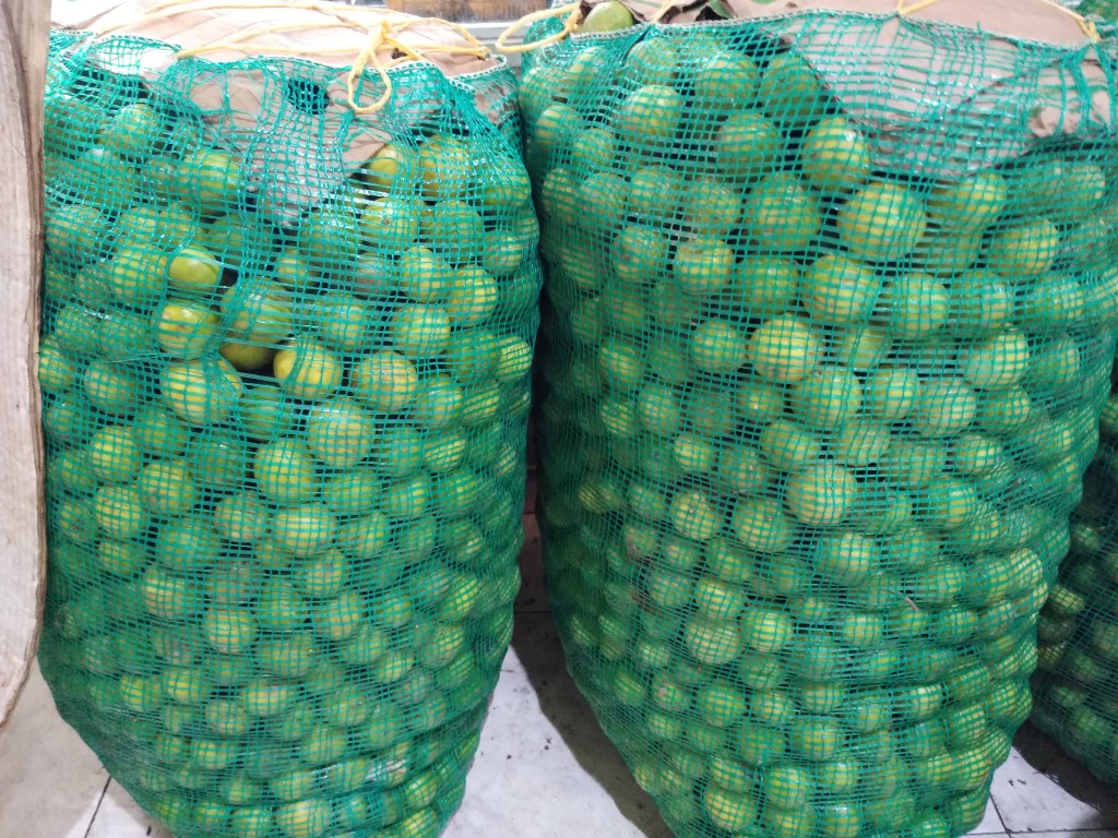 Limón pajarito