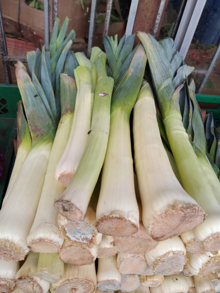 Cebolla puerro