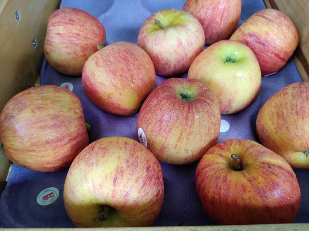 Manzana gala dole