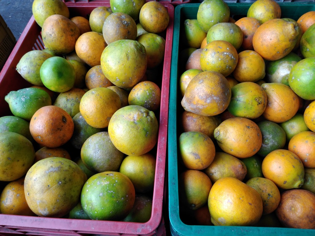 Naranja tangelo