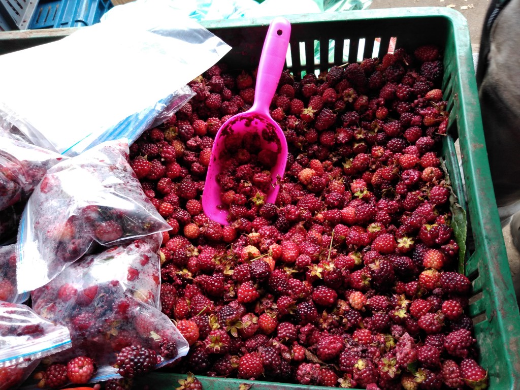 Mora roja