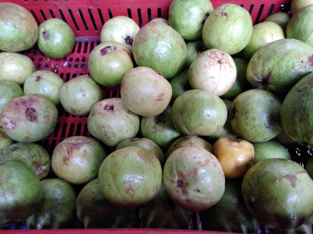 Guayaba manzana