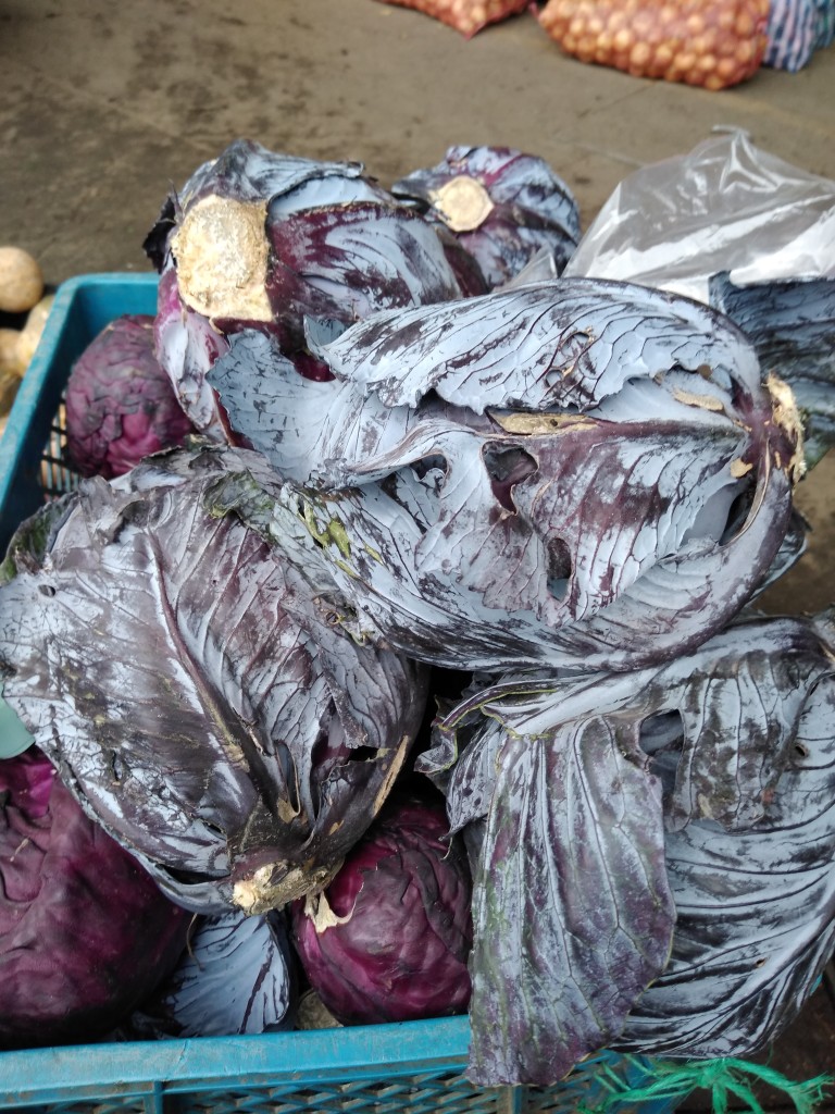 Repollo morado