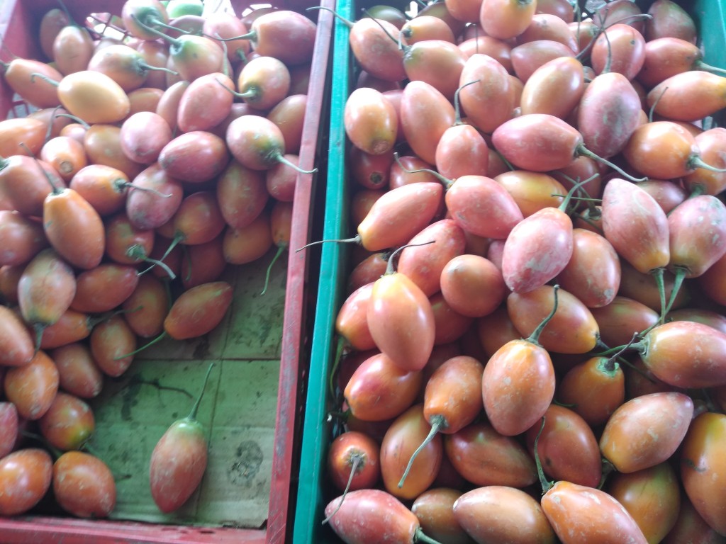 Tomate de árbol 1ra