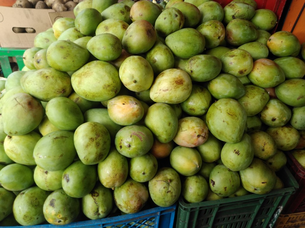 Mango filipino