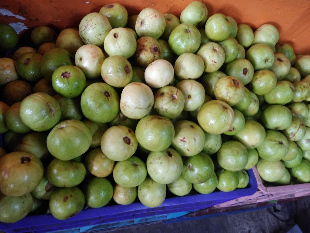 Guayaba manzana