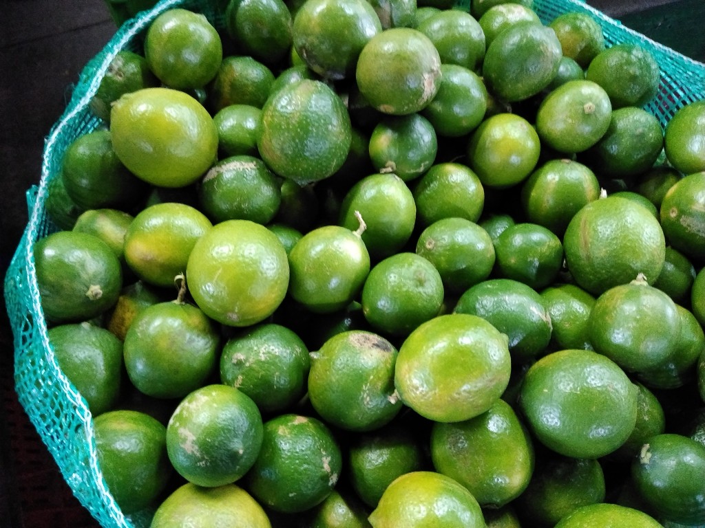 Limón Tahití 1ra
