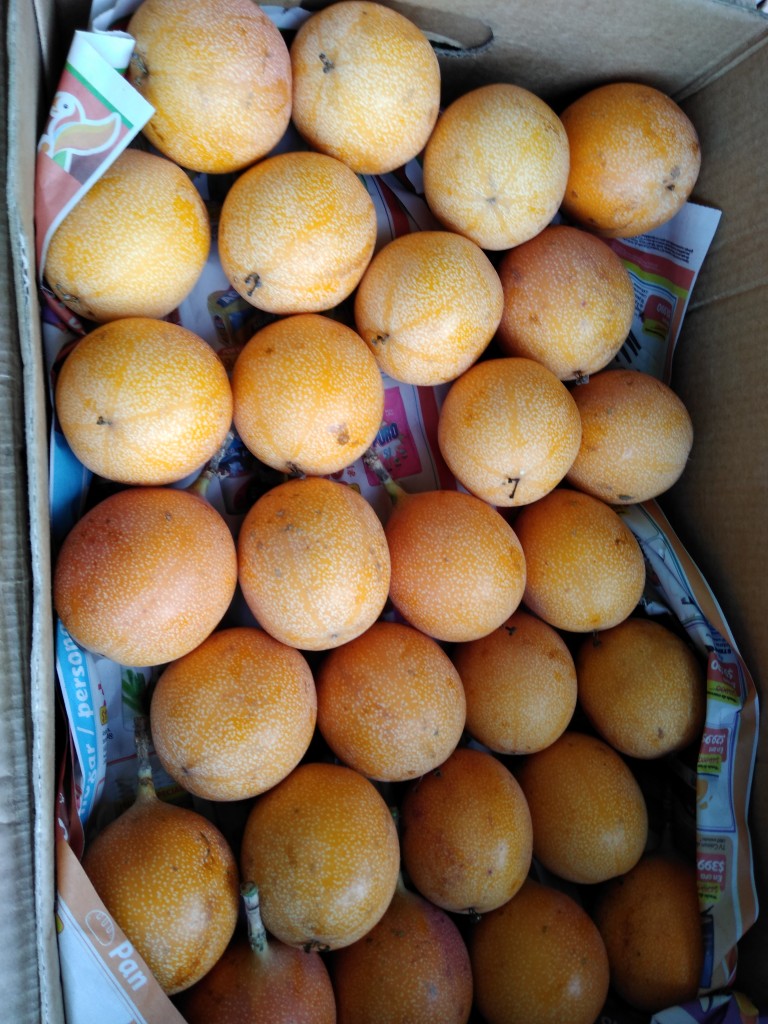 Granadilla 1ra